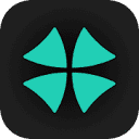 CFO X logo