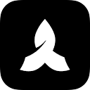 Palix logo